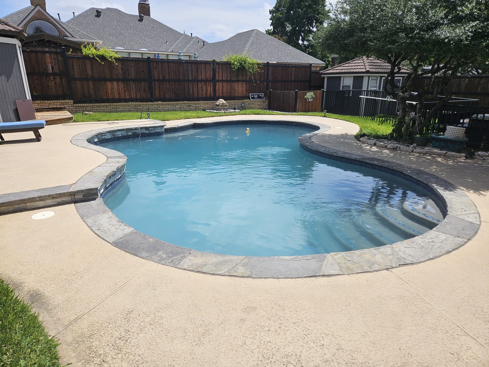 Freeform pool with natural stone coping
